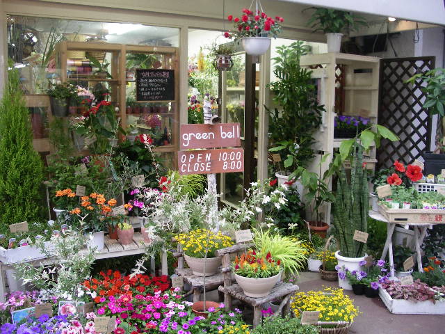 お世話係日記 巨大猫との徒然 かわいいお花屋さん Green Bell さん Livedoor Blog ブログ
