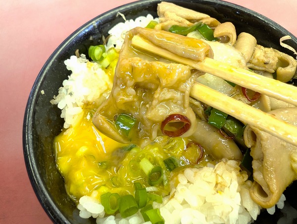 PXL_20250805_021433450.RAW-01.COVER