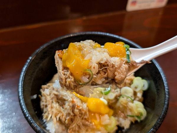 PXL_20251229_050524119.RAW-01.COVER