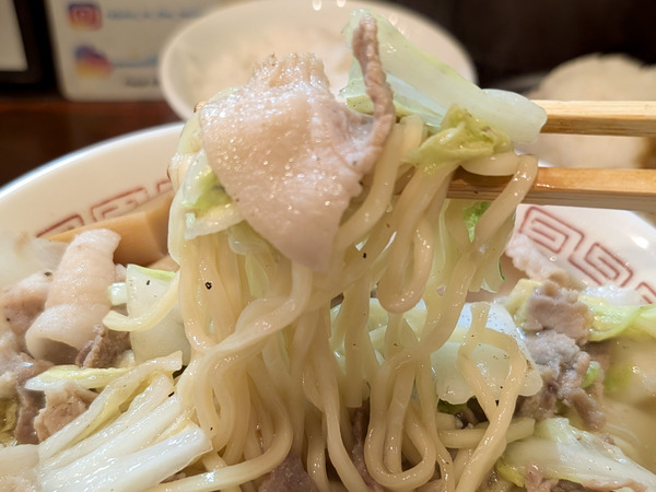 PXL_20251107_044227271.RAW-01.COVER