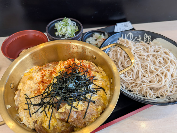 PXL_20250901_020833483.RAW-01.COVER