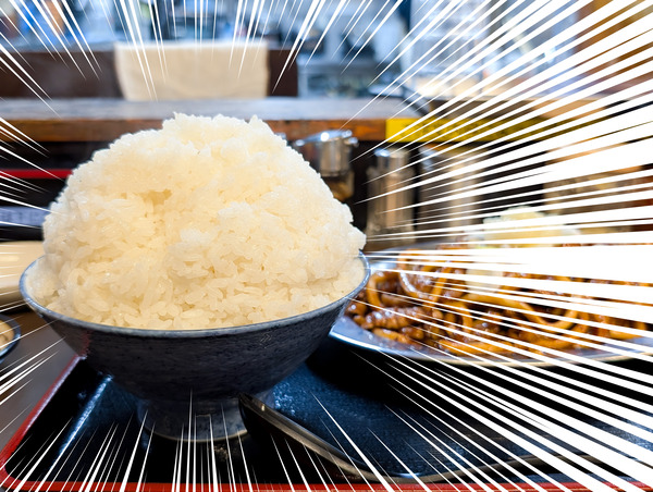 PXL_20251125_022931293.RAW-01.COVER-focus