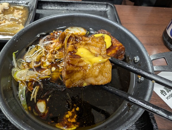 PXL_20260110_125953118.RAW-01.COVER