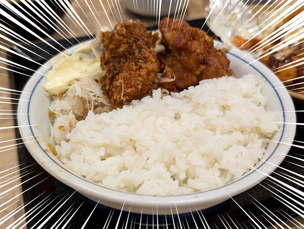 PXL_20250916_105624521.RAW-01.COVER-focus