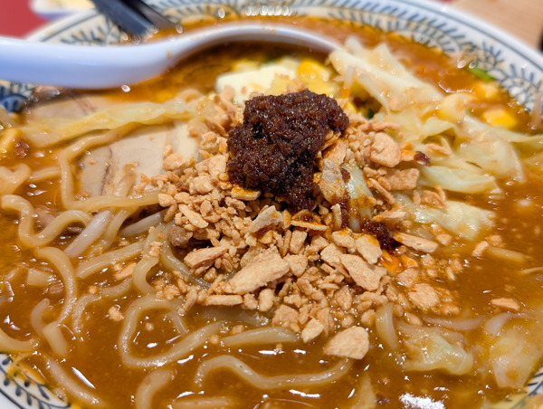 PXL_20260224_044233892.RAW-01.COVER