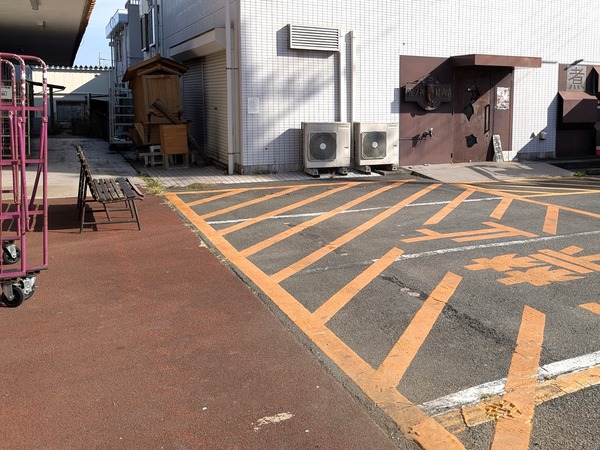 PXL_20251107_042824705.RAW-01.COVER