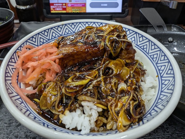 PXL_20260110_130534090.RAW-01.COVER