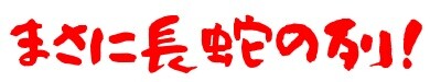 まさに長蛇の列
