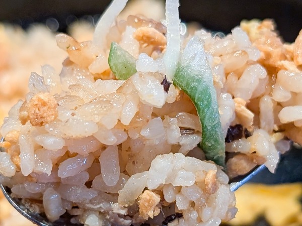 PXL_20260224_044011245.RAW-01.COVER - コピー