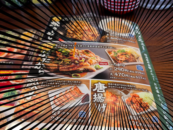 PXL_20260616_024852473.RAW-01.COVER-focus