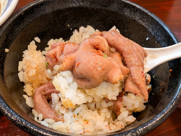 PXL_20260305_044050206.RAW-01.COVER