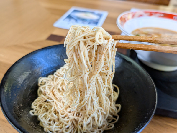 PXL_20260213_042358498.RAW-01.COVER