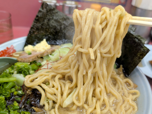 PXL_20251004_082323513.RAW-01.COVER