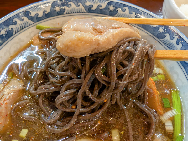 PXL_20251229_051320355.RAW-01.COVER