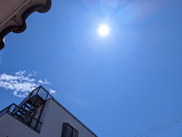 PXL_20260729_024603677~2