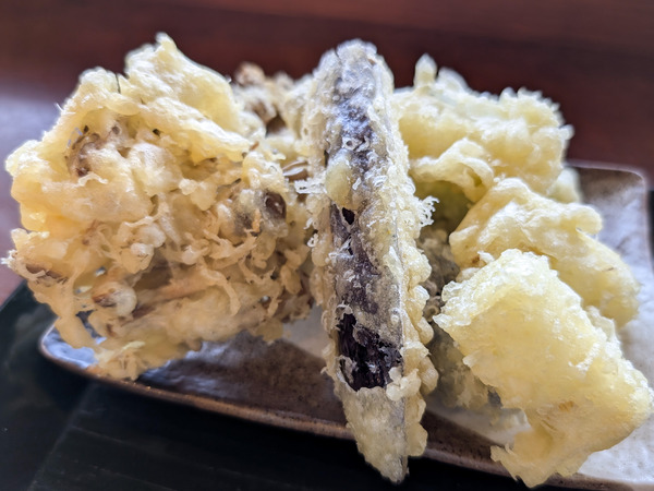 PXL_20260312_020624328.RAW-01.COVER