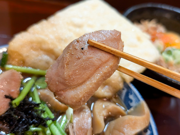 PXL_20251229_050223384.RAW-01.COVER