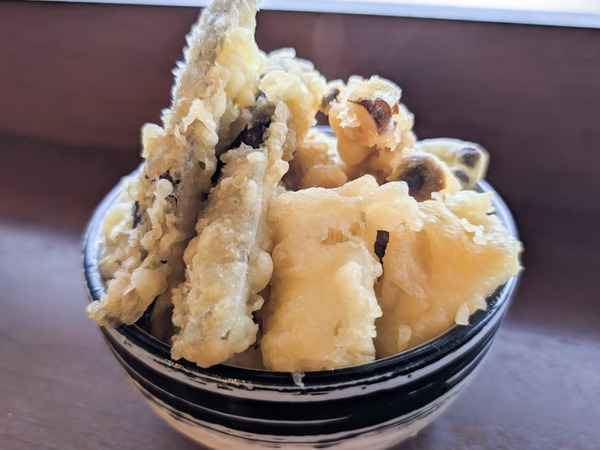 PXL_20260312_020811498.RAW-01.COVER