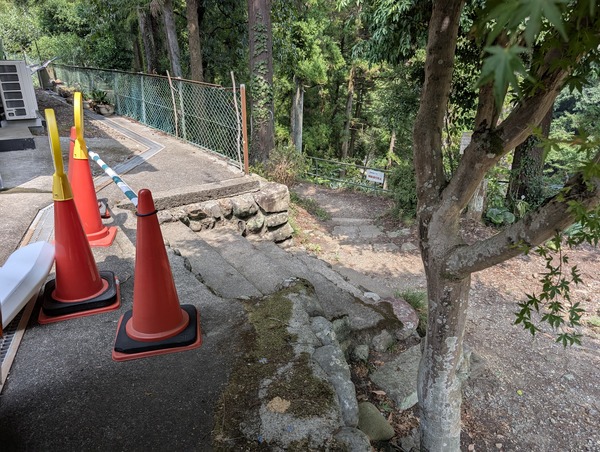 PXL_20250822_030535660.RAW-01.COVER