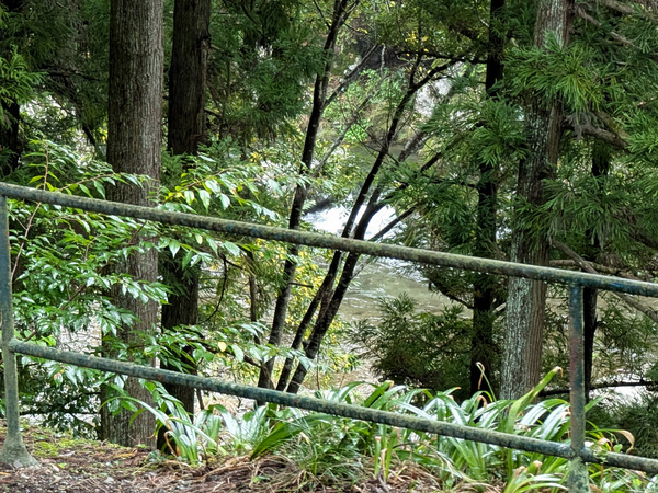 PXL_20250920_040826135.RAW-01.COVER