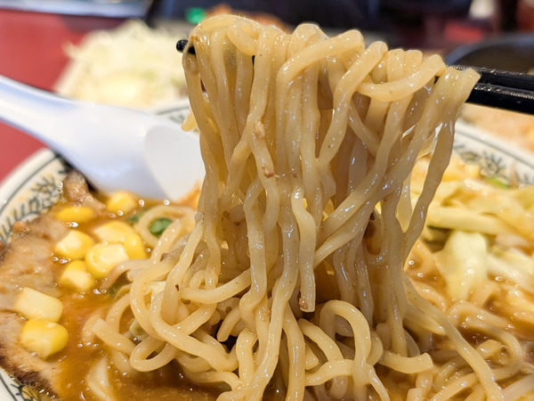 PXL_20260224_043723488.RAW-01.COVER