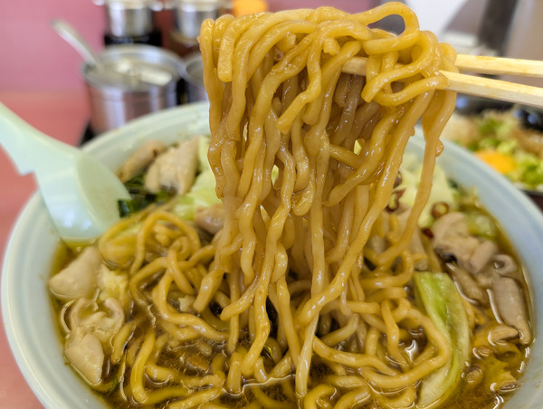 PXL_20250805_020737189.RAW-01.COVER