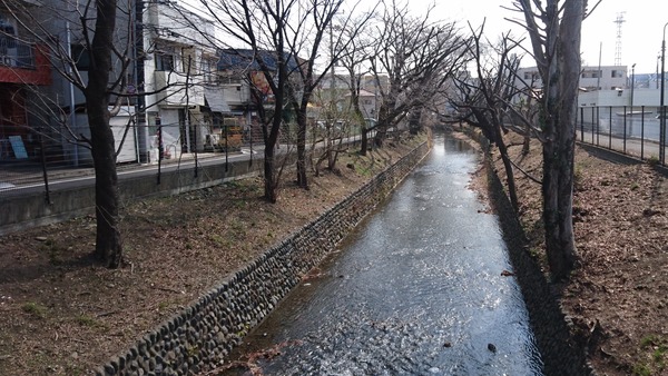 CM170228-104841001