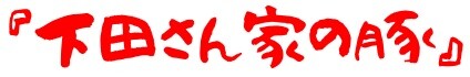 下田さん家の豚