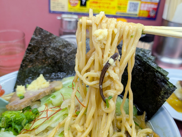 PXL_20251004_082629802.RAW-01.COVER