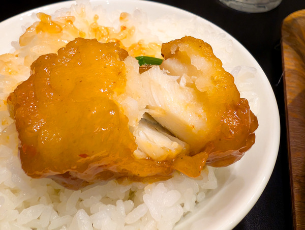 PXL_20260119_053234276.RAW-01.COVER