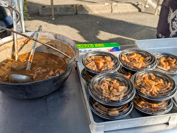 PXL_20251229_051843728.RAW-01.COVER