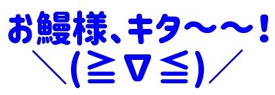 無題お鰻様、キタ~~!