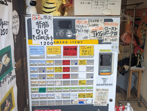 PXL_20250808_015409332.RAW-01.COVER