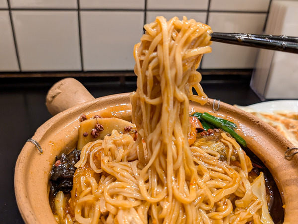 PXL_20260119_053031197.RAW-01.COVER