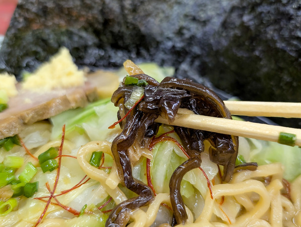 PXL_20251004_082710159.RAW-01.COVER