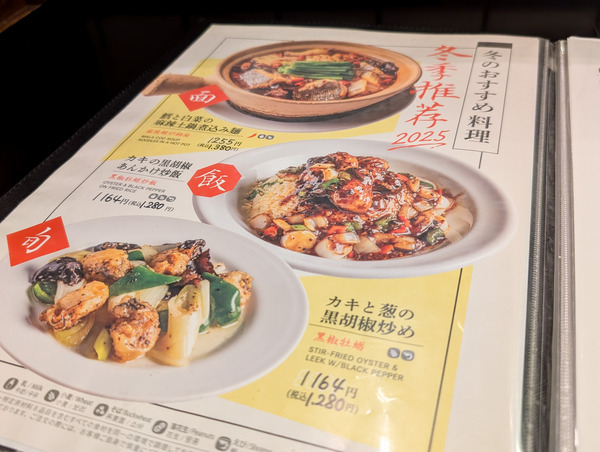 PXL_20260119_051804817.RAW-01.COVER