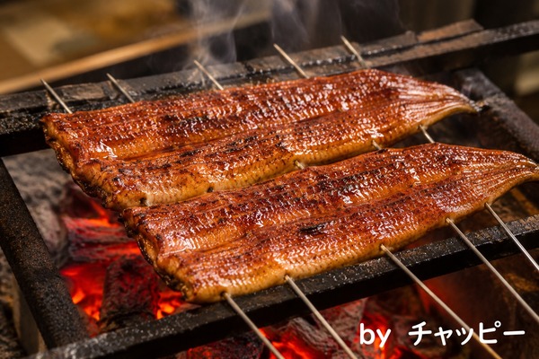 鰻イメージGPT