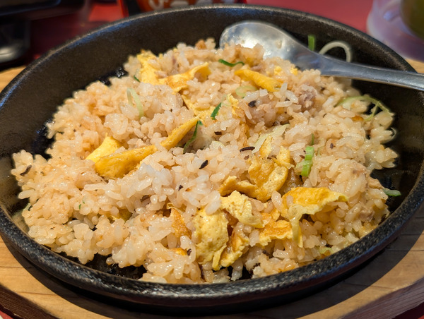 PXL_20260224_043552712.RAW-01.COVER