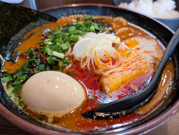 PXL_20260217_021602906.RAW-01.COVER