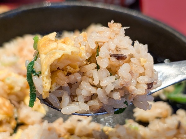 PXL_20260224_043918150.RAW-01.COVER - コピー