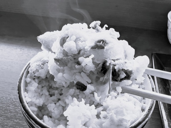 PXL_20260312_021048173.RAW-01.COVER - コピー