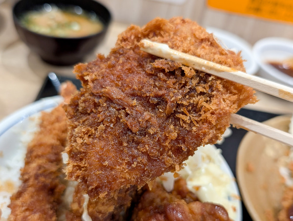 PXL_20250916_104902650.RAW-01.COVER