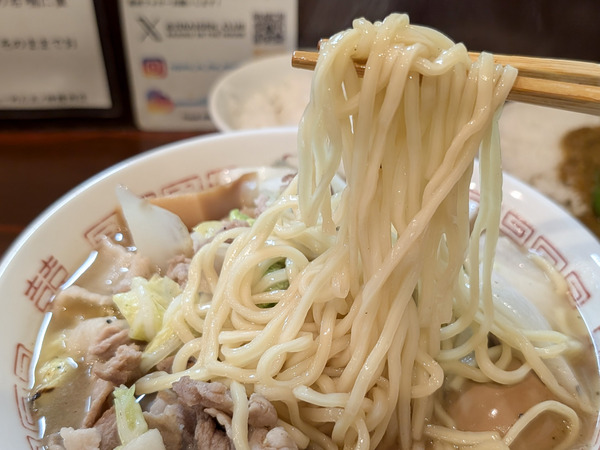 PXL_20251107_044045025.RAW-01.COVER