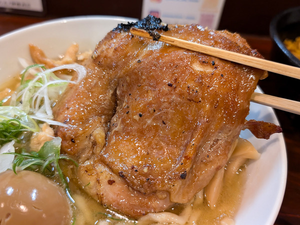 PXL_20260329_041934096.RAW-01.COVER