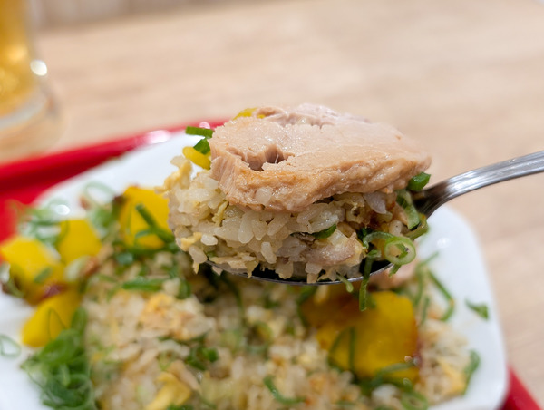 PXL_20251115_045303898.RAW-01.COVER