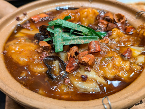 PXL_20260119_052749835.RAW-01.COVER