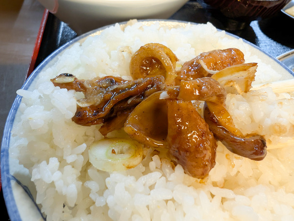 PXL_20251014_030127138.RAW-01.COVER