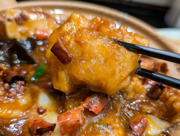 PXL_20260119_052837906.RAW-01.COVER