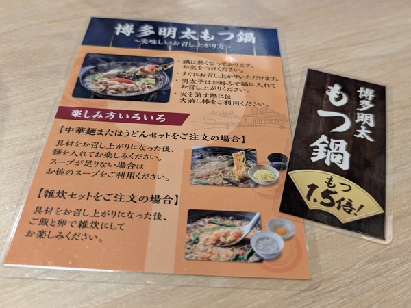 PXL_20260124_120919526.RAW-01.COVER