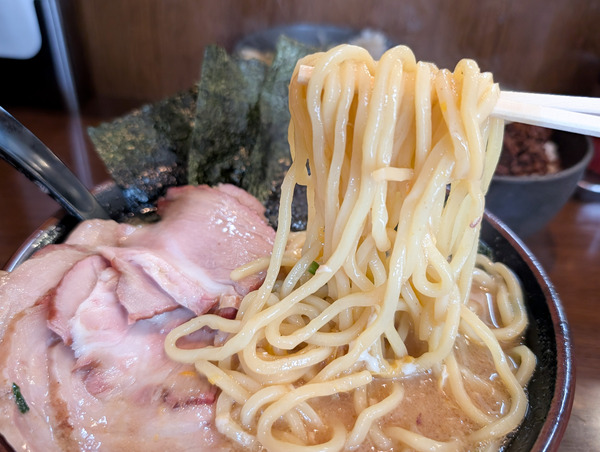 PXL_20260319_031249845.RAW-01.COVER